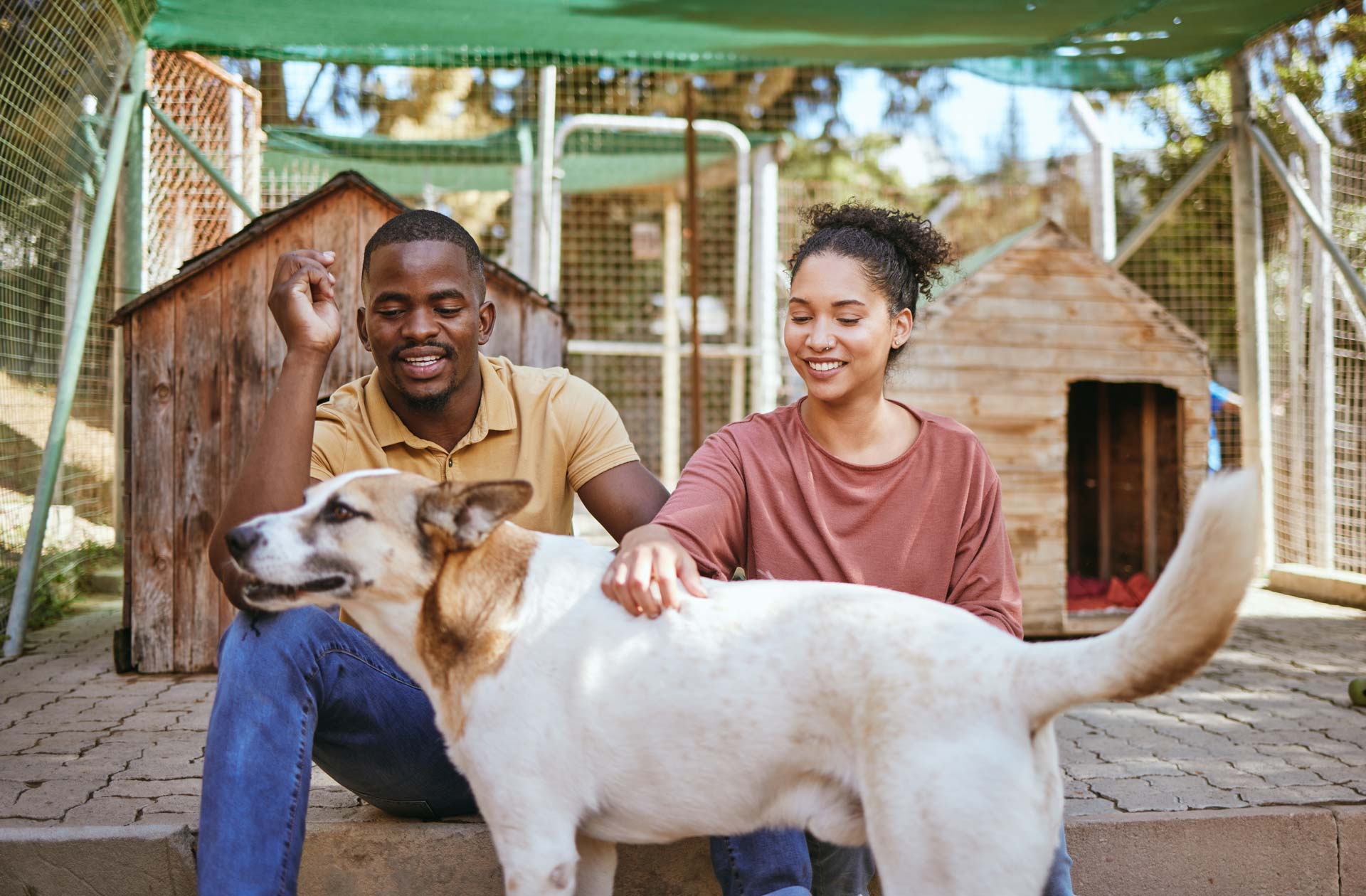 animal-shelter-adoption-and-dog-with-a-black-coup-2023-01-04-20-08-33-utc.jpg
